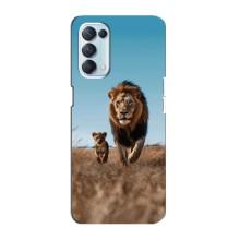 Чохол Король лев на Оппо Рено 5 4G (Мусафа і Сімба)