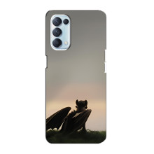 Чехол как приручить дракона на Oppo Reno5 4G – Беззубик