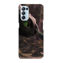 Чехол как приручить дракона на Oppo Reno5 4G – Сцена з драконом