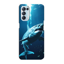 Чехол с картинкой «Хищники» для Oppo Reno5 4G (Акула)