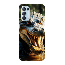 Чехол с картинкой «Хищники» для Oppo Reno5 4G (Крокодил)