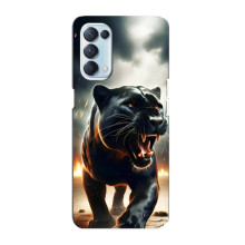 Чехол с картинкой «Хищники» для Oppo Reno5 4G (Пантера)