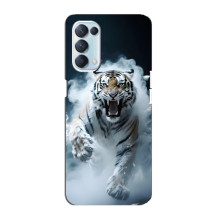 Чехол с картинкой «Хищники» для Oppo Reno5 4G (Тигр)