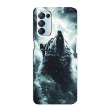 Чехол с картинкой «Хищники» для Oppo Reno5 4G