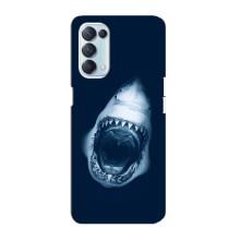 Силіконовий бампер з картинкою звірів для Oppo Reno5 4G (Пащу Акули)