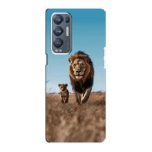 Чехол Король лев на Оппо Рено 5 Про Плюс (5G) (Мусафа и Симба)