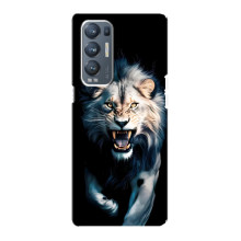 Чехол с картинкой «Хищники» для Oppo Reno5 Pro Plus 5G – Лев