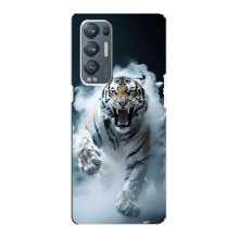 Чехол с картинкой «Хищники» для Oppo Reno5 Pro Plus 5G – Тигр