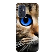 Чехлы с Котиками для Oppo Reno6 4G (VPrint) (Глаз кота)