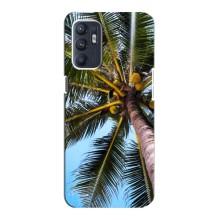 Силиконовый чехол с КАРТИНКАМИ лето для Oppo Reno6 4G (AlphaPrint) (Пальма)
