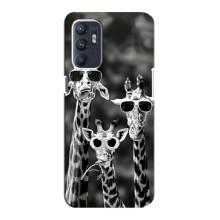 Силиконовый чехол с КАРТИНКАМИ лето для Oppo Reno6 4G (AlphaPrint) (Жирафы в очках)