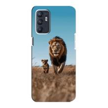Чохол Король лев на OPPO Reno6 5G (Мусафа і Сімба)
