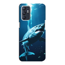 Чехол с картинкой «Хищники» для Oppo Reno6 5G – Акула