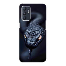 Чехол с картинкой «Хищники» для Oppo Reno6 5G – Змея