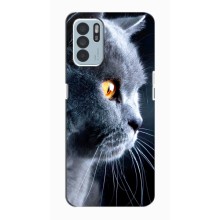 Чохол із милими котиками на OPPO Reno6 Z