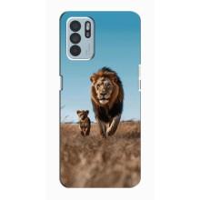 Чехол Король лев на Оппо Рено 6 Зет – Мусафа и Симба