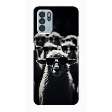 Чохол з принтом стильні тварини для OPPO Reno6 Z – Овечка в окулярах