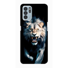 Чехол с картинкой «Хищники» для Oppo Reno6 Z – Лев