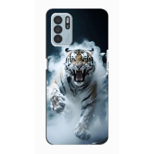 Чехол с картинкой «Хищники» для Oppo Reno6 Z – Тигр