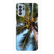 Силіконовий чохол з КАРТИНКАМИ літо для Oppo Reno6 Z (AlphaPrint) (Пальма)