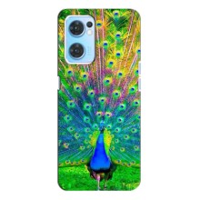 Чохол з пташками на Oppo Reno7 4G (VPrint) (Яскравий Павлин)