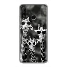 Силіконовий чохол з КАРТИНКАМИ літо для Huawei P30 Lite (AlphaPrint) (Жирафи в окулярах)