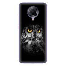 Чохли з принтом СОВИ для Xiaomi POCO F2 Pro – Сова на чорному