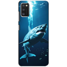 Чохол з картинкою 'Хижаки' для Xiaomi POCO M3 – Акула