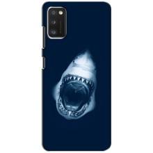 Силиконовый бампер с картинкой животных для Xiaomi POCO M3 (Пасть Акулы)