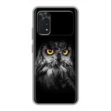 Чехлы с принтом СОВЫ для Xiaomi POCO M4 Pro 4G – Сова на чёрном