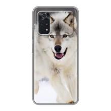 Чехол с Волком на Xiaomi POCO M4 Pro 4G – Волк на снегу