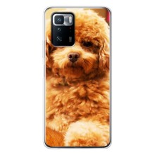 Чехлы с собаками для Xiaomi POCO X3 GT (VPrint) (Щенок Бишон)