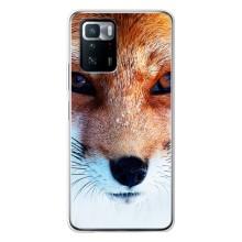Чехол с Лисичкой для Xiaomi POCO X3 GT – Рыжая Лисичка