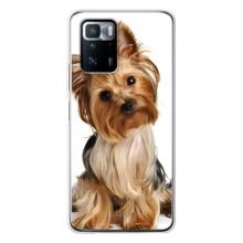 Чехол (ТПУ) Милые собачки для Xiaomi POCO X3 GT – Собака Терьер