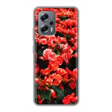 Чехлы с Цветами для Xiaomi POCO X4 GT (VPrint) (Цветы красные)