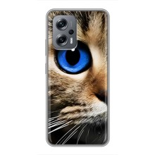 Чехлы с Котиками для Xiaomi POCO X4 GT (VPrint) (Глаз кота)