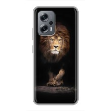 Чехол со Львом для Xiaomi POCO X4 GT (VPrint) (Лев)