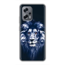 Чехол со Львом для Xiaomi POCO X4 GT (VPrint) (Синий Лев)