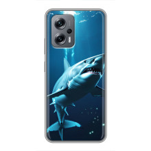 Чехол с картинкой «Хищники» для Xiaomi POCO X4 GT – Акула