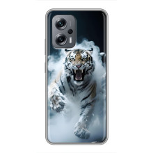 Чехол с картинкой «Хищники» для Xiaomi POCO X4 GT – Тигр