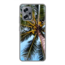 Силиконовый чехол с КАРТИНКАМИ лето для Xiaomi POCO X4 GT (AlphaPrint) (Пальма)