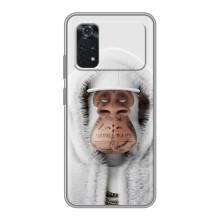 Чохли з Мавпами NFT для Xiaomi POCO X4 Pro 5G (AlphaPrint)