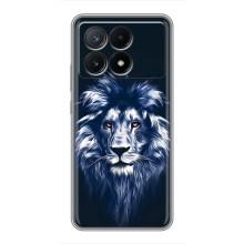 Чехол со Львом для Xiaomi POCO X6 Pro (5G) (VPrint)