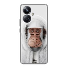 Чохли з Мавпами NFT для Realme 10 Pro Plus (AlphaPrint) (мавпа NFT в тату)