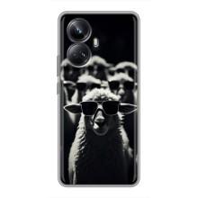 Чохол з принтом стильні тварини для RealMe 10 Pro Плюс (Овечка в окулярах)