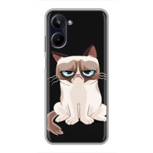 Чохол з принтом для Realme 10 (AlphaPrint) Модні коти (Сумний кіт)