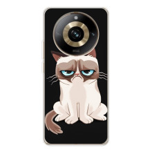 Чохол з принтом для Realme 11 Pro 5G (AlphaPrint) Модні коти (Сумний кіт)