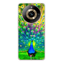 Чехол с птицами на Realme 11 Pro 5G (VPrint) (Яркий Павлин)