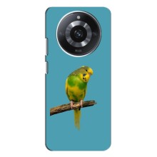 Силиконовый чехол с птичкой на Realme 11 Pro Plus (Попугайчик)