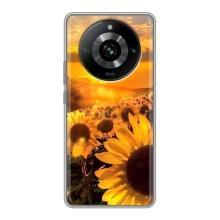 Чехол с Цветами для Realme 11 Pro (поле подсолнухов)